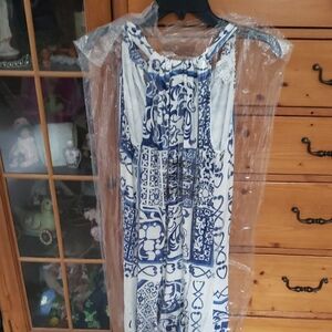 Fifteen Twenty Blue and White Maxi Dress